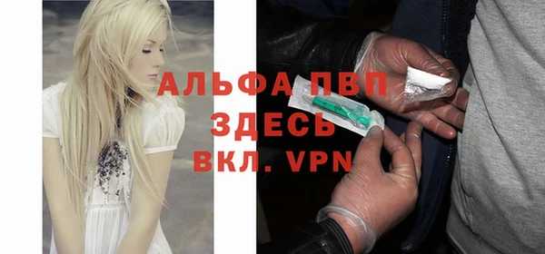 стаф Абинск