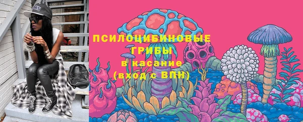 стаф Абинск