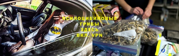Альфа ПВП Алексин