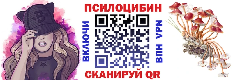 где найти наркотики  Бакал  Галлюциногенные грибы мицелий 