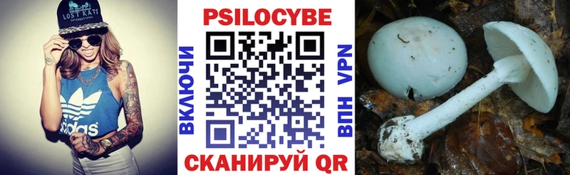 Псилоцибиновые грибы Magic Shrooms Бакал