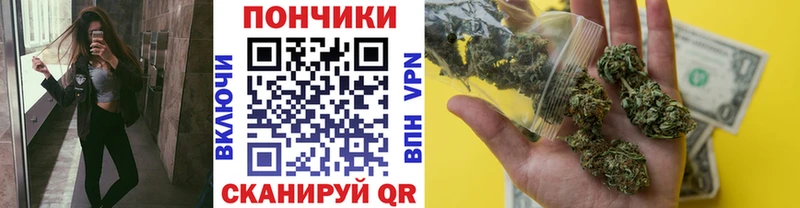 Бошки Шишки ГИДРОПОН  закладки  Бакал 